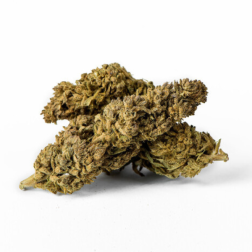 Carmagnolla Cheese