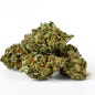 Green Apple